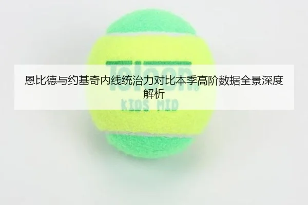 恩比德与约基奇内线统治力对比本季高阶数据全景深度解析