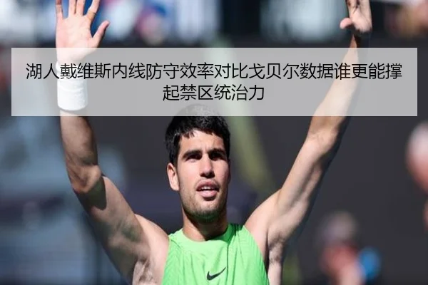湖人戴维斯内线防守效率对比戈贝尔数据谁更能撑起禁区统治力
