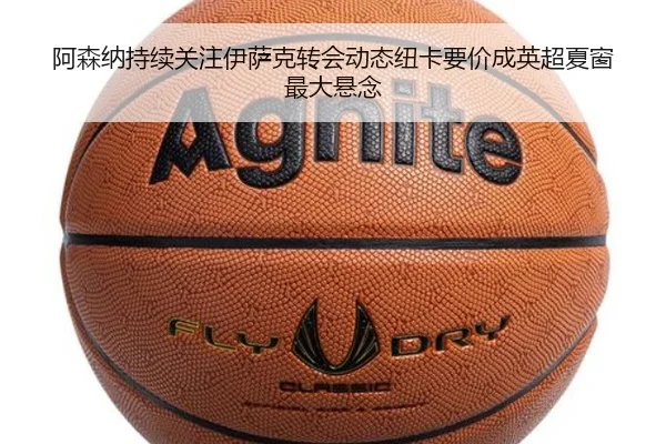 阿森纳持续关注伊萨克转会动态纽卡要价成英超夏窗最大悬念