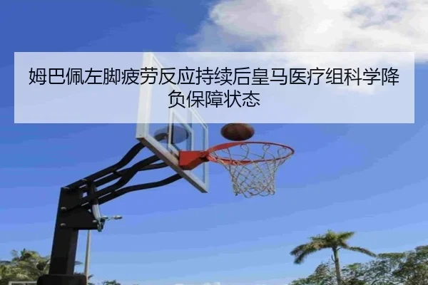 img_1783326879159_436_1_261.jpg